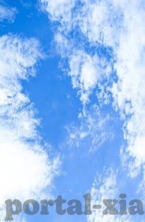 fc2成人性视频-FC2成人性视频，网络时代下的内容监管与个人选择